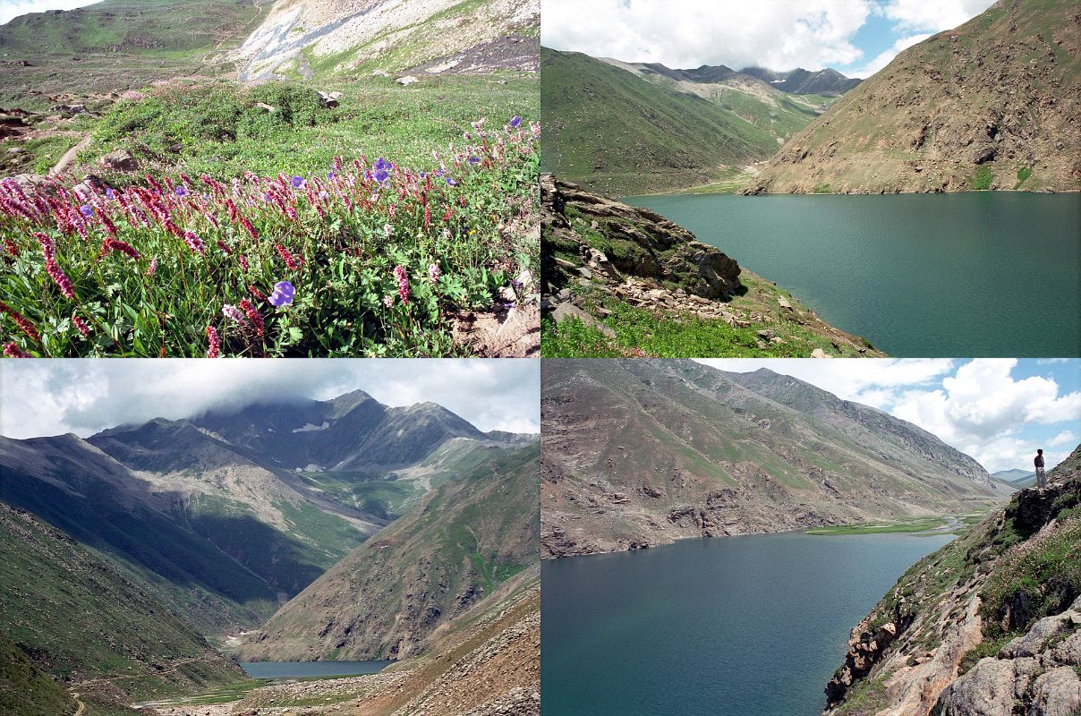 09 Wildflowers, Lake Lulusar In Kaghan Valley Wildflowers grow near Lake Lulusar (3350m), the source of the river Kunhar.